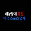 태양스포츠 이미지