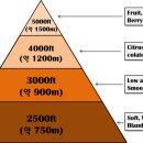 팔팔커피 이미지