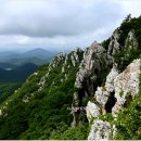 달마고도 이미지