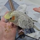 버드소리 대구수성점 이미지