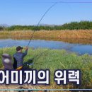 강호얼레꾼 17회 맛보기(참붕어 미끼의 위력) 이미지