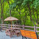 용현계곡입구 | 서산 용현계곡 물놀이 자연휴양림에서 즐기는 곤충채집 체험