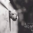 지하실
