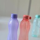 초등학생 물병 추천 타파웨어 에코 물통 500ml 내돈내산 후기