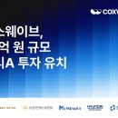콕스