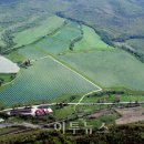 순수태양광발전소 이미지