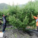 한천면사무소 이미지