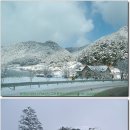 태백산 눈꽃 축제 산행 2024년 1월 27일(토) / 28일(일) 각각 당일 이미지