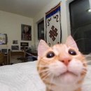 카카오 이미지