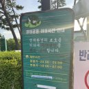 경안천 습지생태공원 산책코스 후기 (연잎, 뱀딸기, 갈대, 개구리,오리)