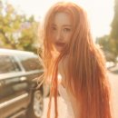 선미네 이미지