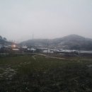 맑은산 한우농장 이미지