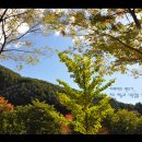 휴림펜션 이미지