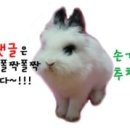 대윤주유소 이미지