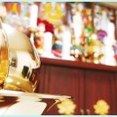 보라매동-15 이미지