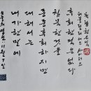 오늘의 명언 11월 7일 한 말에 대해서는 종종 후회하지만 ~ . 퍼블릴리어스 사이러스 이미지