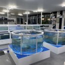 무릉도원회센터 이미지