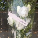 플로리아트(Floriat) 이미지