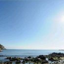 해운대삼성부동산중개 이미지