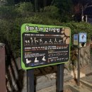 수봉영산마을 | [인천/미추홀구] 수봉공원 별마루 밤 산책