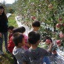 신남어린이집 이미지