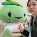 여주-0073 | 2024 일본 다카마쓰 여행 3일차,4일차 쇼도시마섬/올리브공원/엔젤로드/야돈페리/리츠린공원/다카마쓰역...