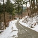 숲향기 목공방 이미지