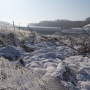 김씨농장 이미지