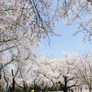 (주)천안수도 이미지