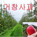 황금퇴비비료 이미지
