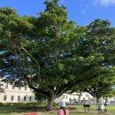 수레카 | 괌 자유 남부투어 개인렌트카 남부투어 코스 추천