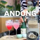 김영술 | 하회마을 안동전통주 탐방표류기