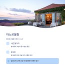 애월감성 이미지