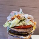 맥도날드 부산구남BP점 | 맥도날드 페퍼로니피자버거, 신제품 메가냐 더블이냐(기간한정 할인 꿀팁)