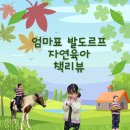 자연발도르프유치원 | 엄마표 발도르프 자연 육아 책리뷰 관계 예민형 아이에게 맞는진짜 육아법