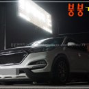 붕붕개러지 이미지