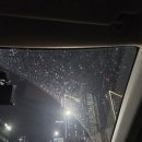 [대전/동구] 삼성동 씻자 대전동구점 대전동구 노터치자동세차 후기💕