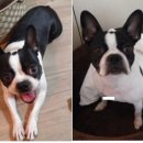 성북-길음-3369 이미지