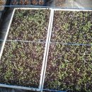 완우농장 이미지