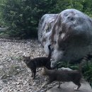 자개골흙집 이미지