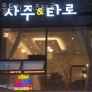 골든트리 타로 사주 | 강서구 사주 소울트리 사주타로 위치안내