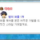 안젤라헤어 네이버블로그