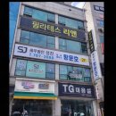 세무법인도움 - 강남구 도산대로 510 | 세무법인도움