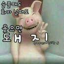 목요일 볼 굴리고 녹색나라까지 가도, 괜찮아요 ~~?? 필히 읽어 보시길