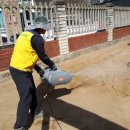 용계초교병설 이미지