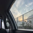 봄나드리투어 | 8월 일상