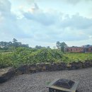 소랑애월 이미지