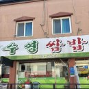 수영쌈밥 - 수영구 | 원주 단계동맛집 | 수영쌈밥 방문 후기
