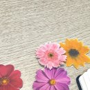산본아동발달센터