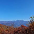 2021. 11. 12일(금) 아침 현재 지리산 백무동 인근에 비와 눈이 많이 내렸다고 백무동 택시 기사님에게 메일이 왔습니다 이미지